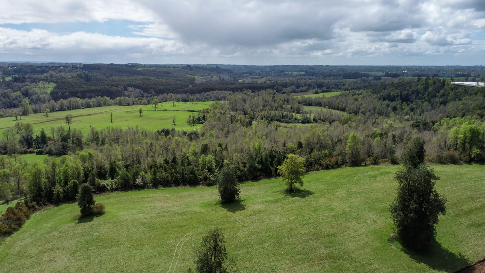 Altavista Frutillar - Imagen 2