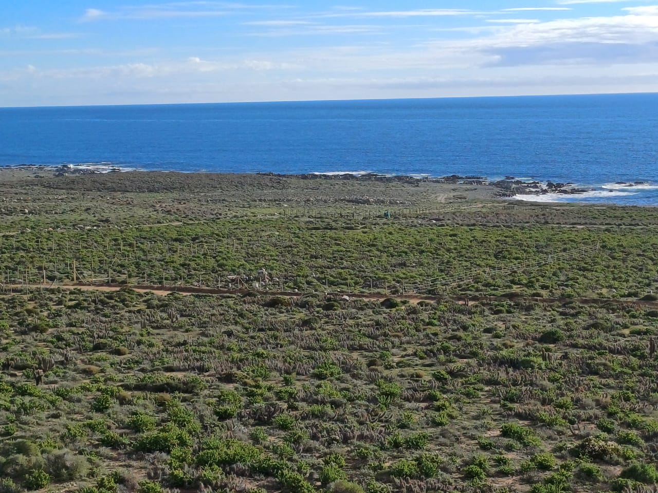 Vive Ovalle - Imagen 2