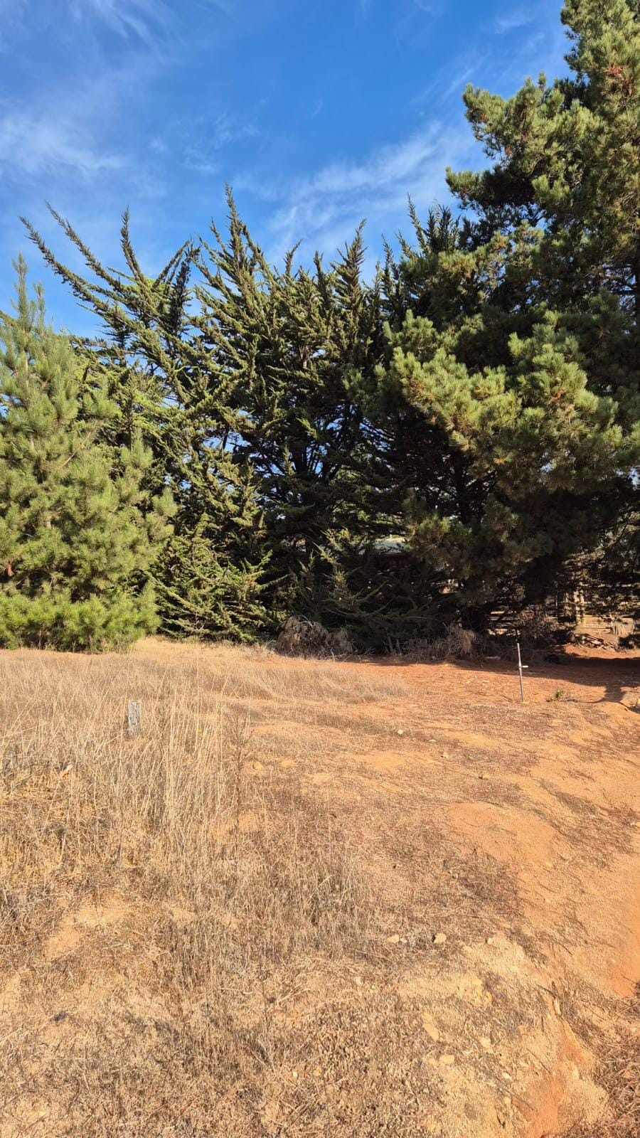 Alto Lemu - Imagen 3