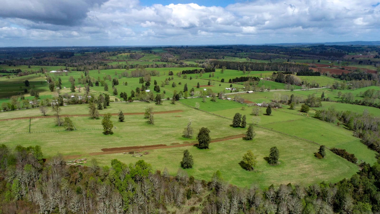 Altavista Frutillar - Imagen 5