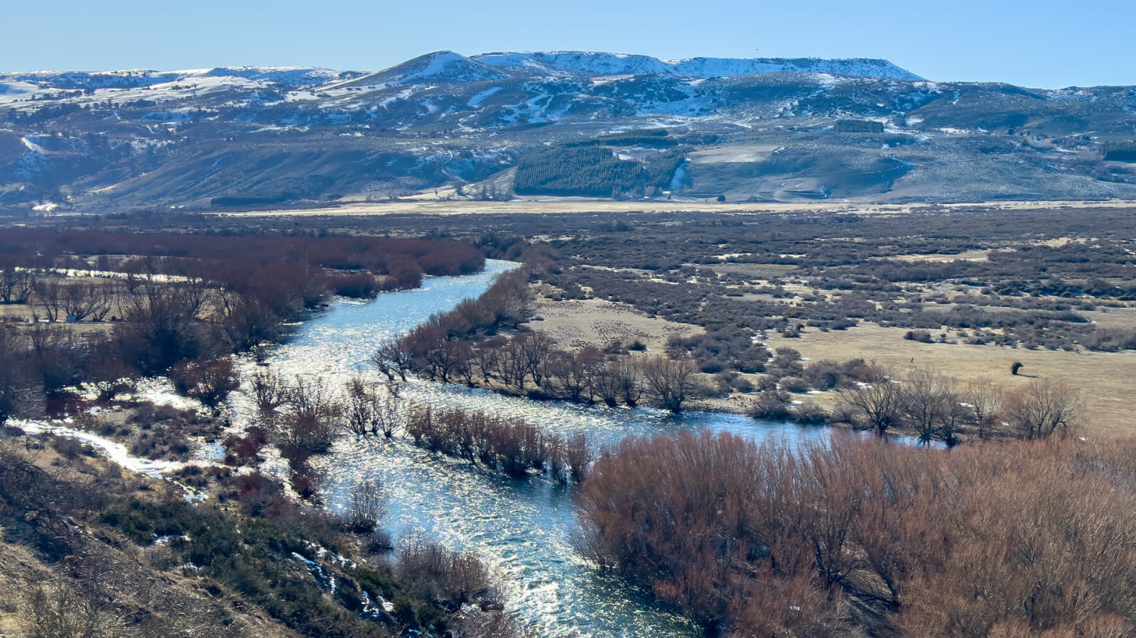 Vive Lonquimay - Imagen 7