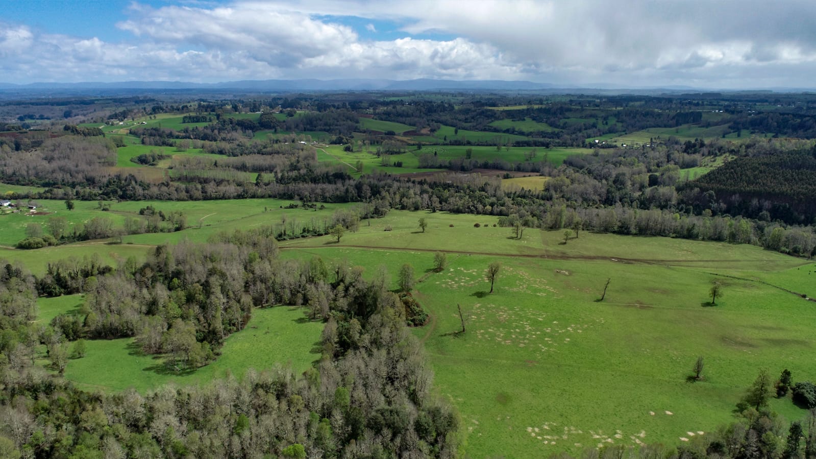 Altavista Frutillar - Imagen 7