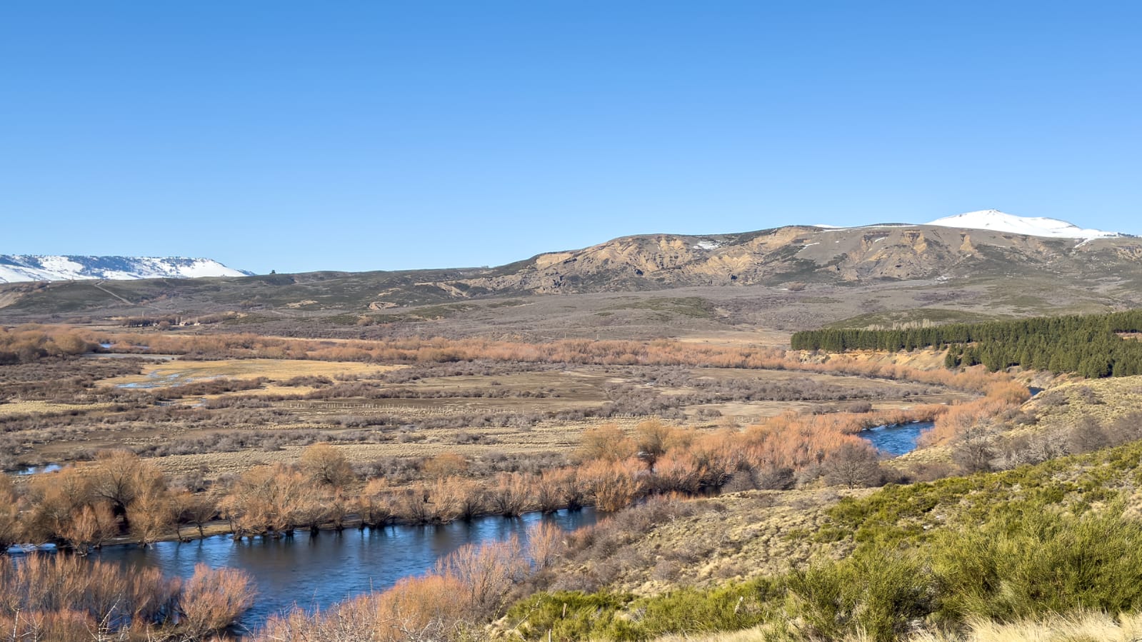 Vive Lonquimay - Imagen 3