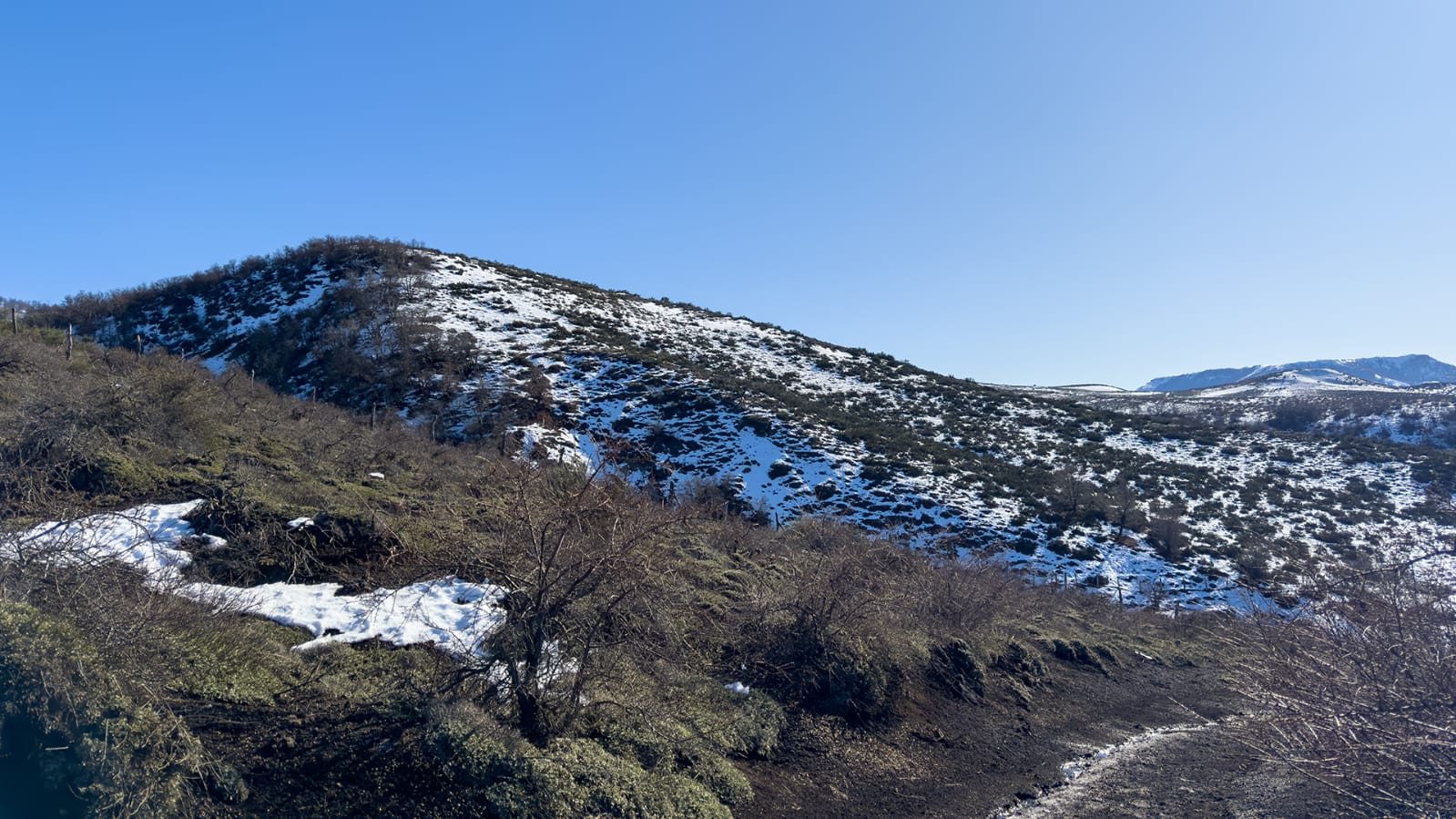 Vive Lonquimay - Imagen 2