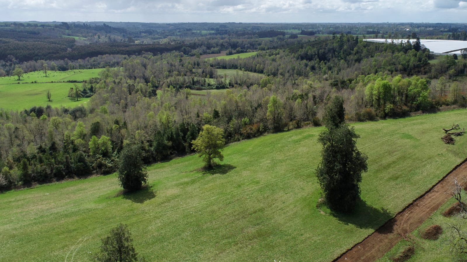 Altavista Frutillar - Imagen 3