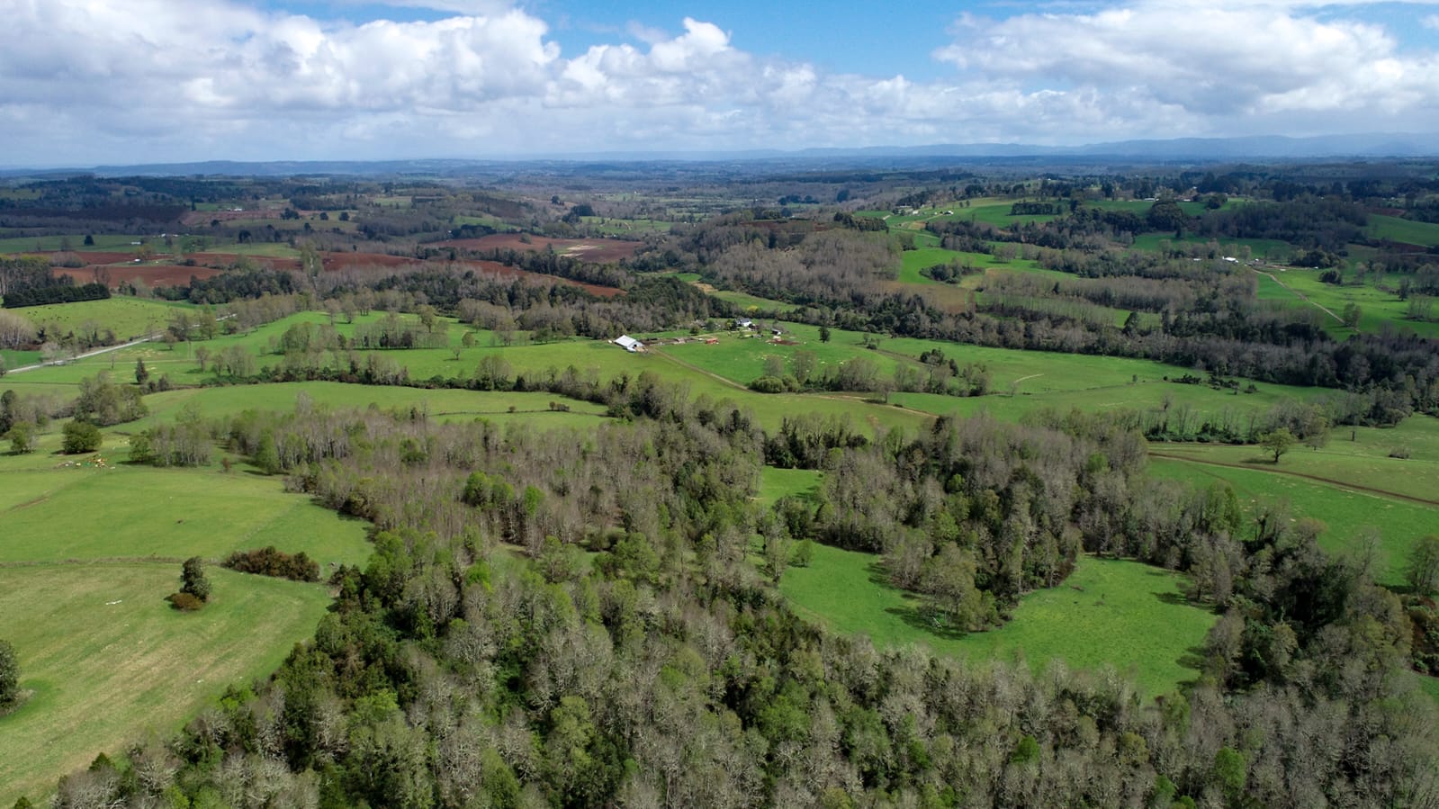 Altavista Frutillar - Imagen 6