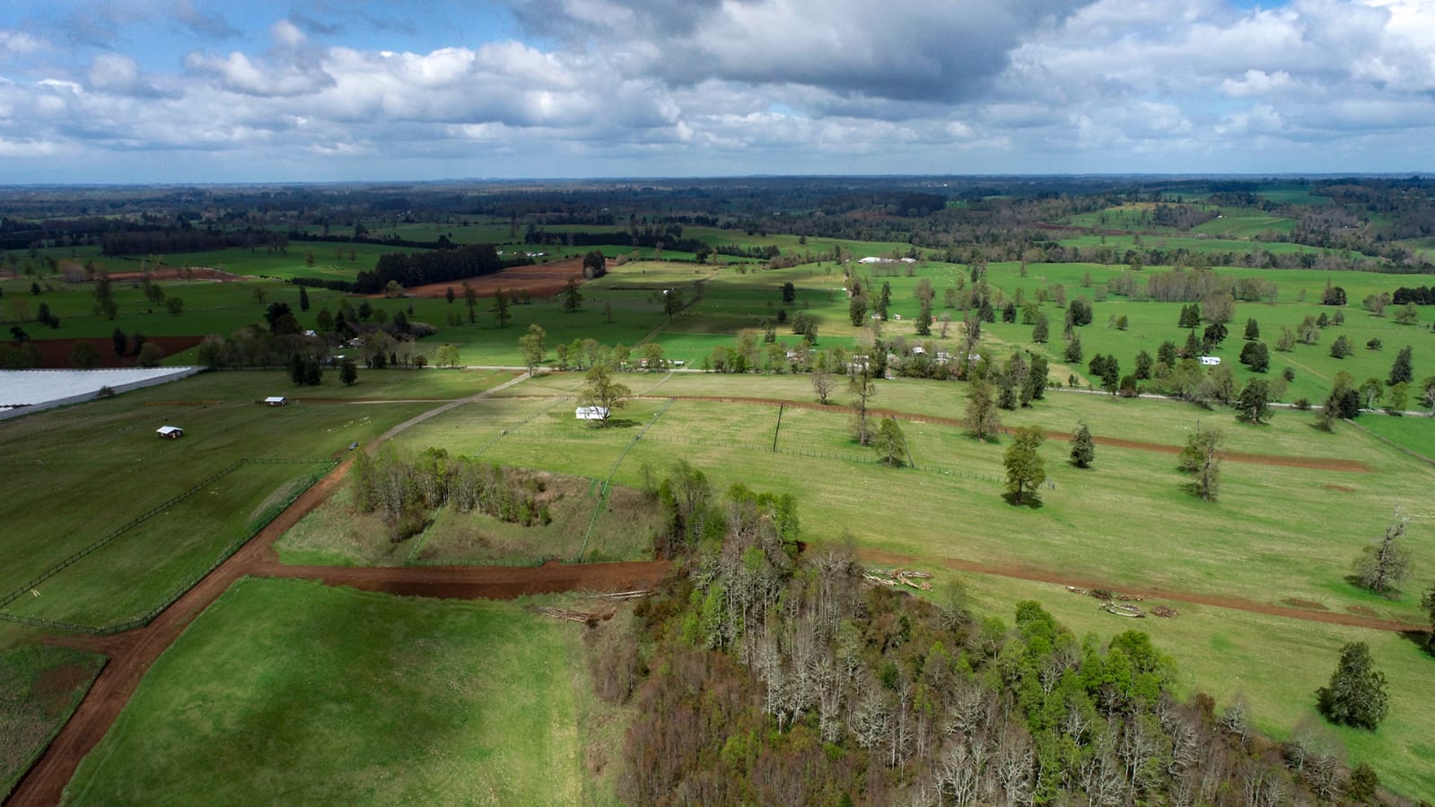 Altavista Frutillar - Imagen 4